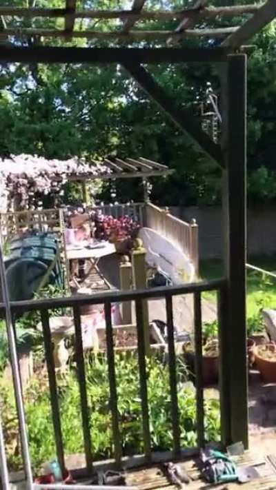 Perfectly executed throw