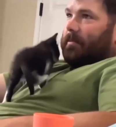 When you don't like cats