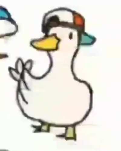 duck