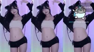 kbj dddd