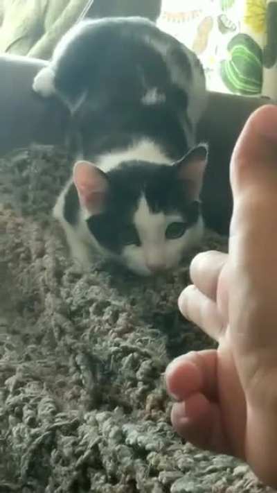 The duel will commence AFTER we count to 10