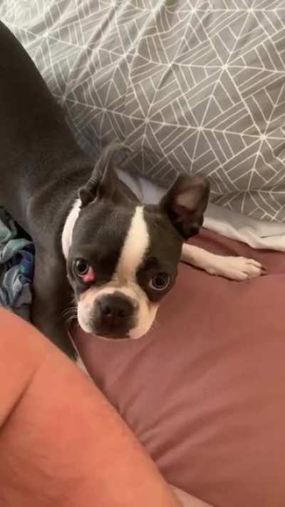 Coco