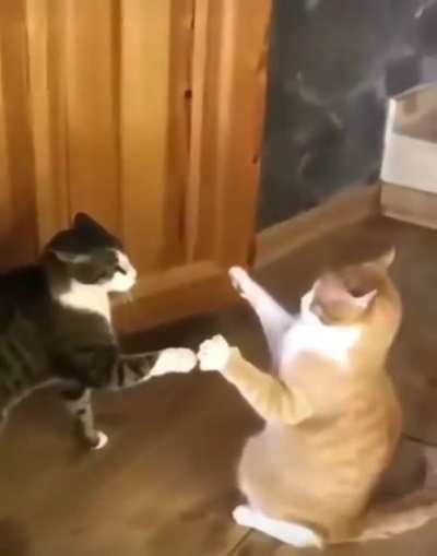 ferocious