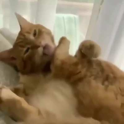 WidepeepoHappy