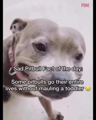 Did you know?🤔