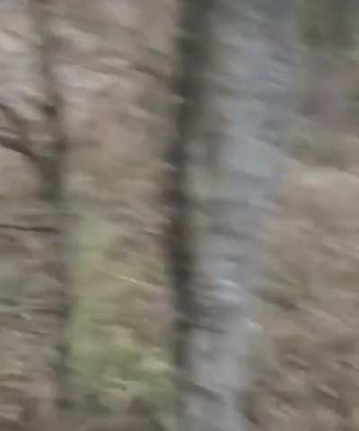 Deer God