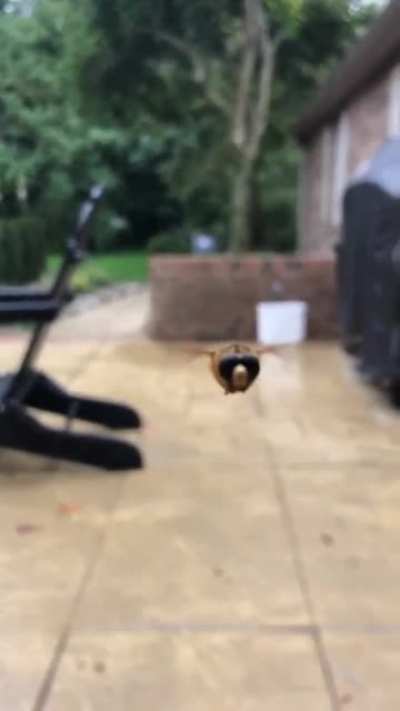 Wait for it..