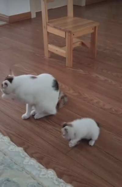 Mini-Mum