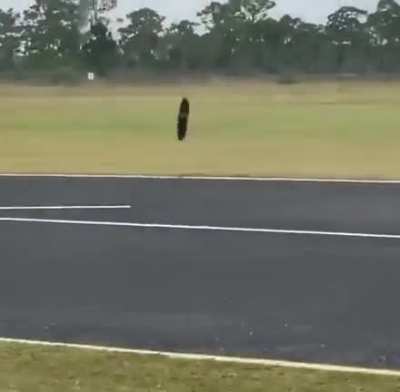 “This is Eagle 1, we have eyes on the target”