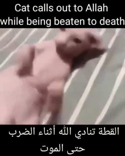 Bong