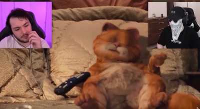 This is what happens when u watch both Garfield movies and have to take a shot everytime it says “Monday” or “Lasagna”
