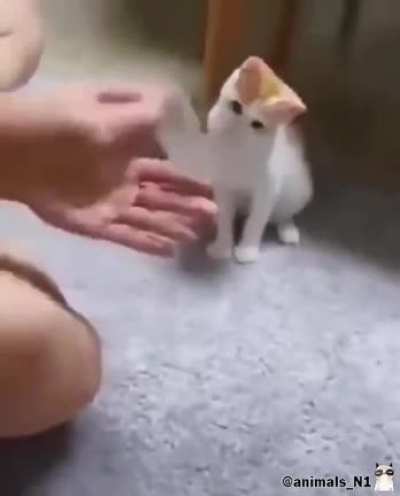 Abracadabra