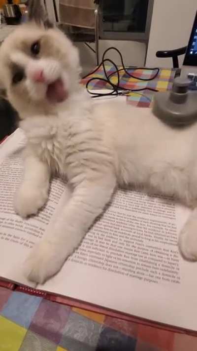 It's time to brush...