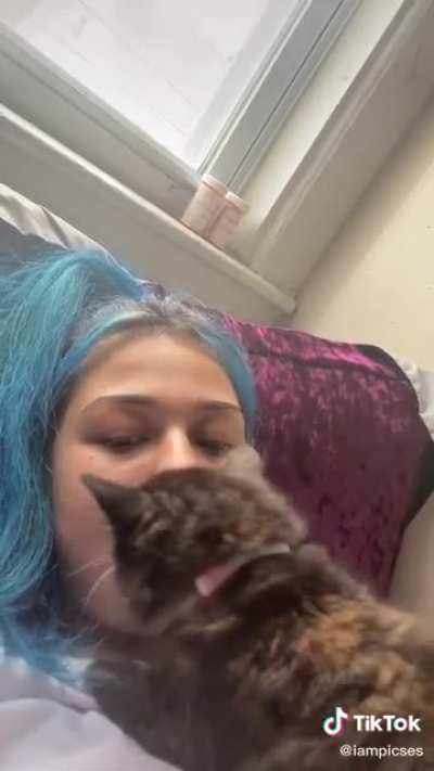 Cat trying to put on a human suit?