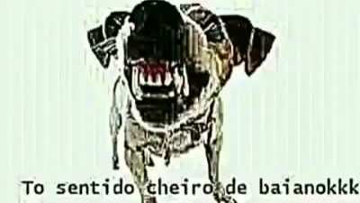 Chero de baianor
