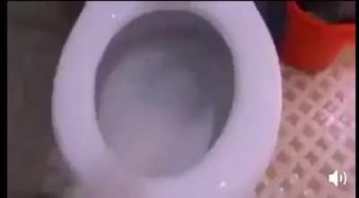 Pee go brr