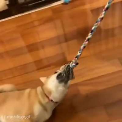 That's mine