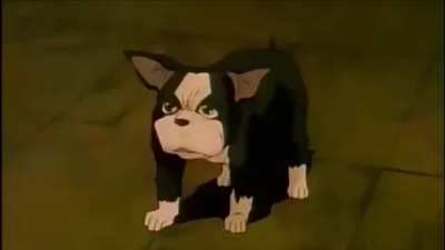 AAAAAAAAAA
