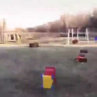 Nice flip doggo