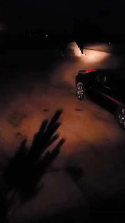 Holy shit. Did you guys see that?!