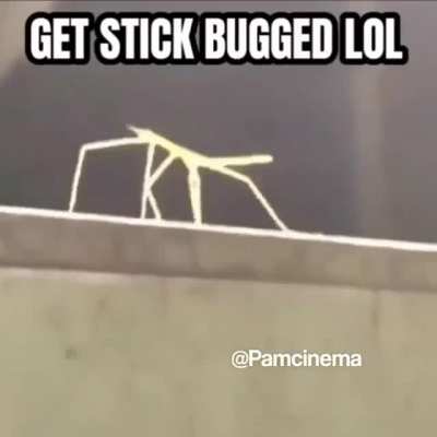 Minecraft meme