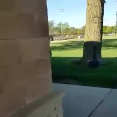 Lil nuts quaking buddy 🥺