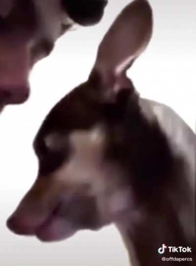 : )