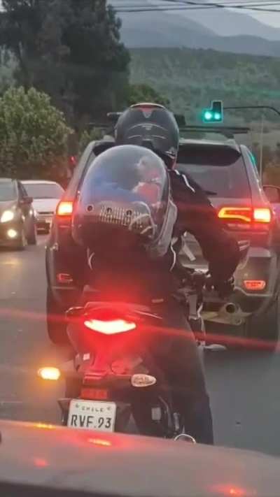 what the dog doing?