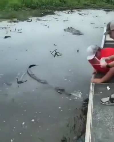 Just a normal day in Florida