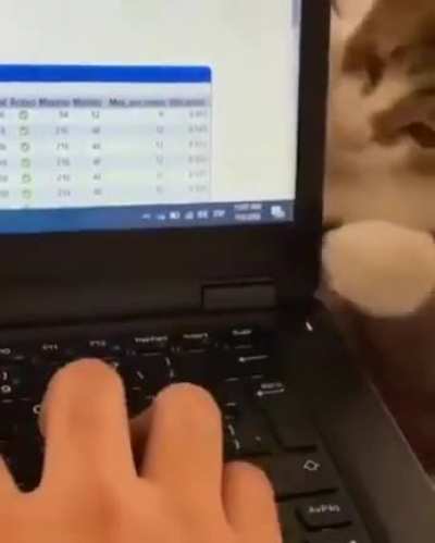 Pay attention to me