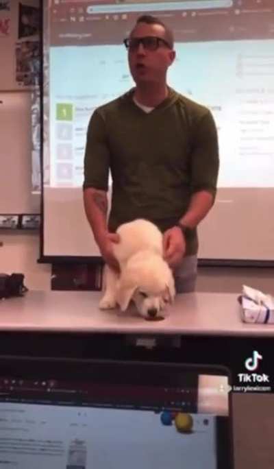If we lose the vocab bowl…