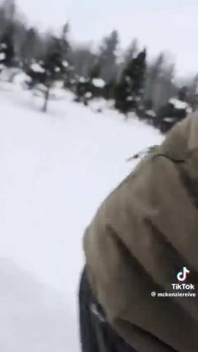 Run Charlie, run!