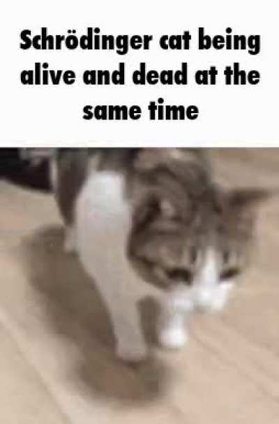 rule