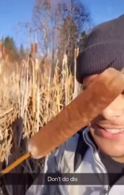 Ooh a hotdog