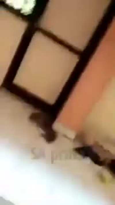 Parayeeter