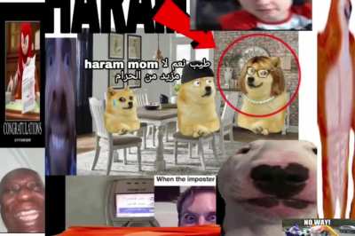 from r/dogelore