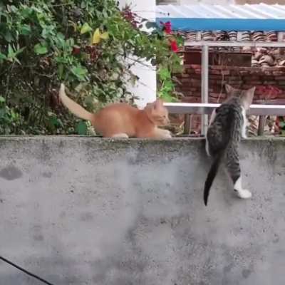 Maybe maybe maybe