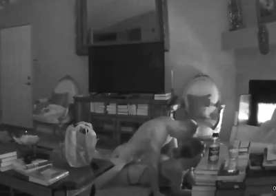 Get me pregnant...