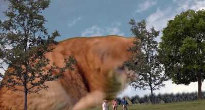 JURASSIC CAT THROWBACK
