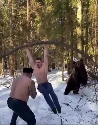 The bear trains you.