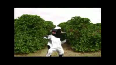 Vacas apenas Vacas