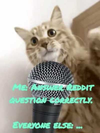 WTF Reddit