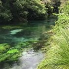 This river flowing