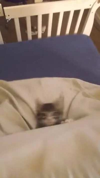 Pierre's audition for american ninja warrior