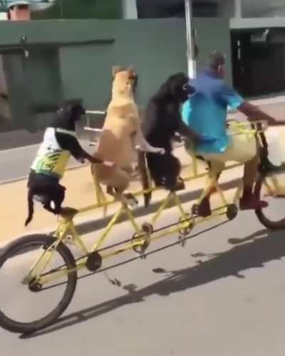 Think we can squeeze thru there, Dave