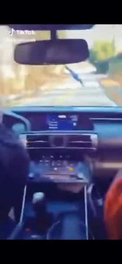 Ima swerve the car like a jackass just for some TikTok views!
