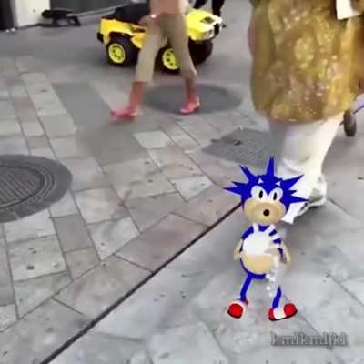 Sanic cancelado 👎🏻