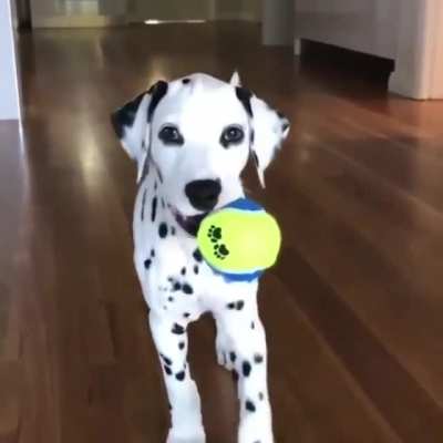 Such a sneaky boi