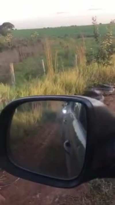 just another day in brazil