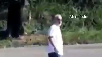 Dark vô